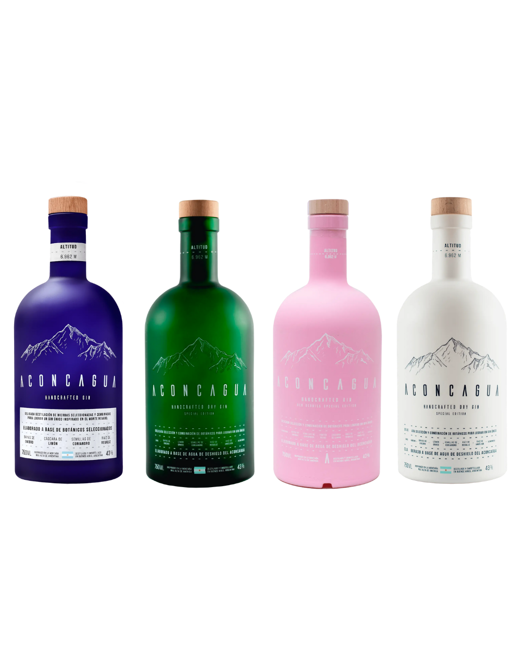 Gin Aconcagua: L'Arte della Distillazione Argentina tra le Ande